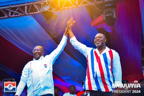Freda Prempeh: Unity Needed to Support Bawumia and NAPO in December Elections